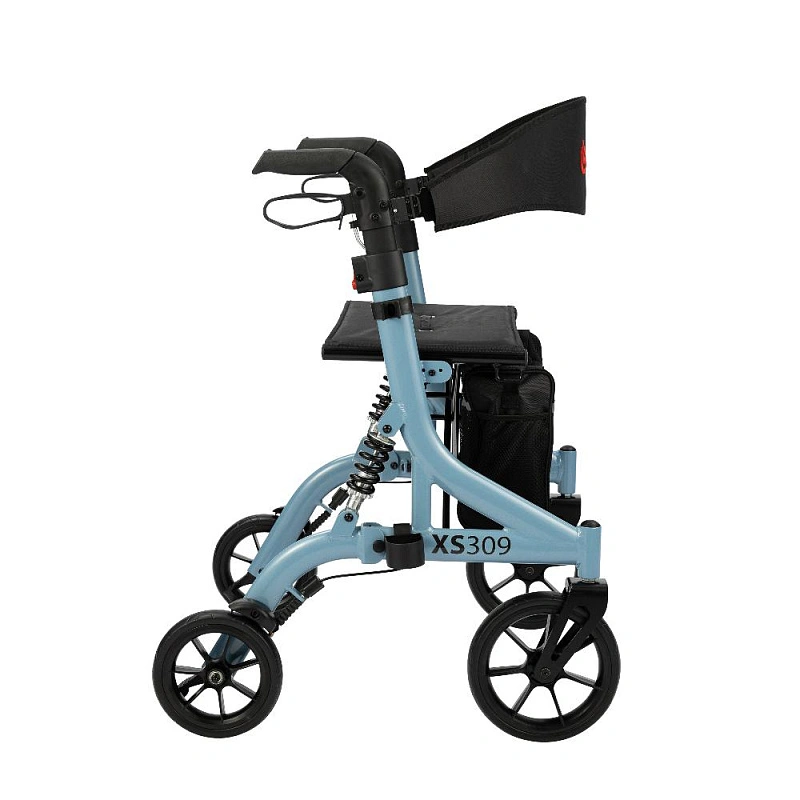 XS309