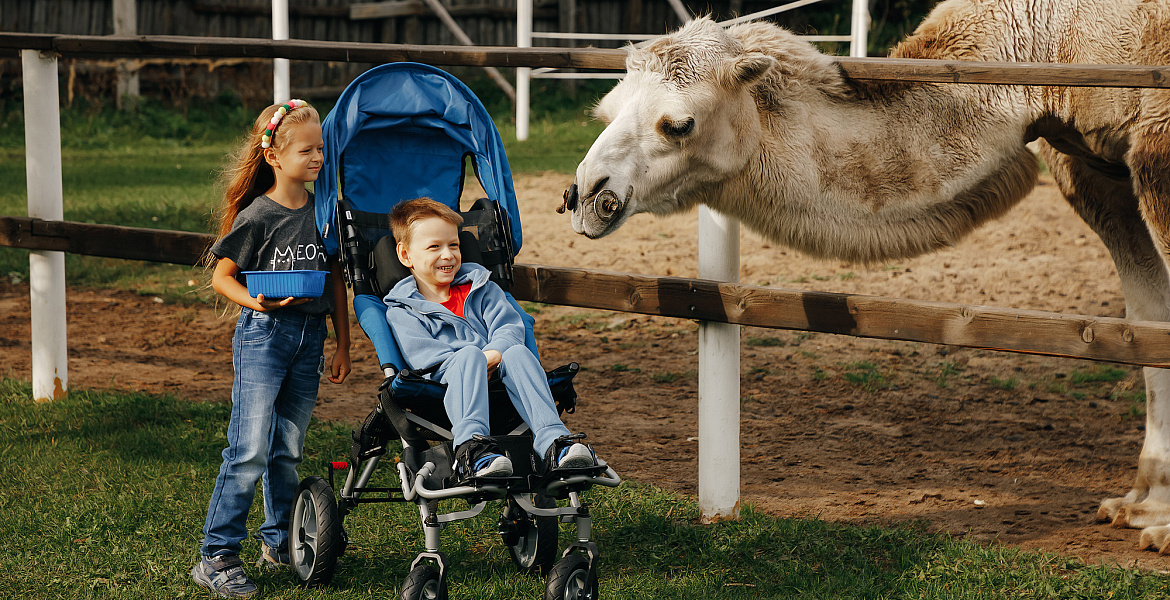 ребенок-инвалид